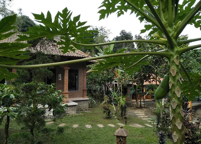 Dina Home Stay at Desa Wisata Wongayagede