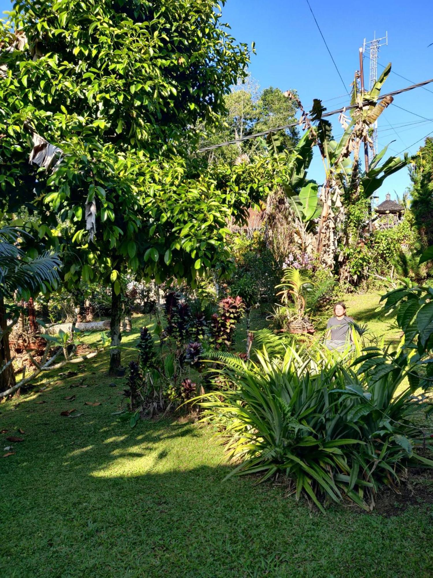Homestay Dina At Desa Wisata Wongayagede Jatiluwih